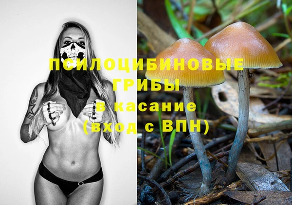 тгк Вяземский