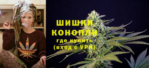 тгк Вяземский
