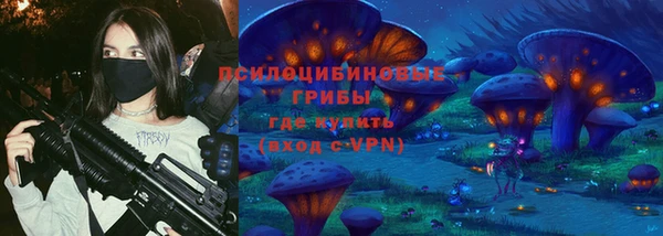 тгк Вяземский